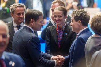 Ambasadorii Demnității Românești