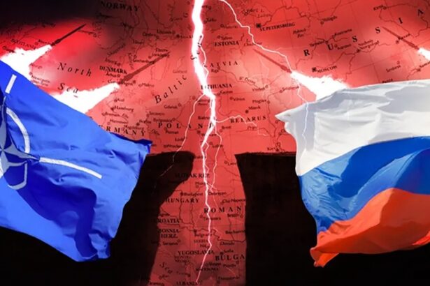 criză NATO Rusia 2025
